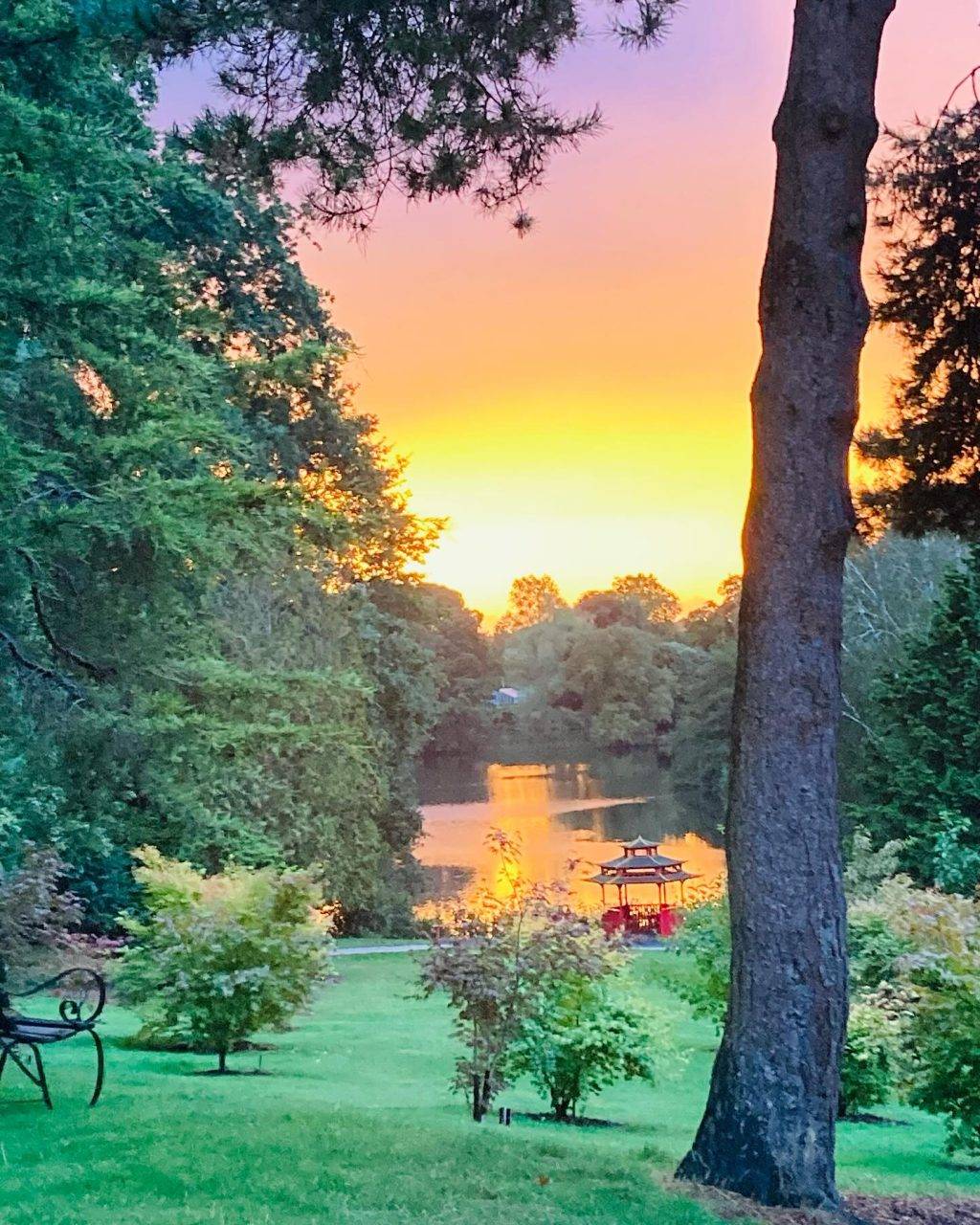 Instagram post from bictonpark. This post is in position 0.