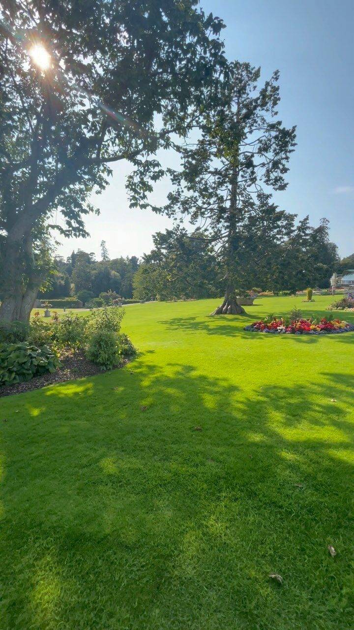 Instagram post from bictonpark. This post is in position 13.