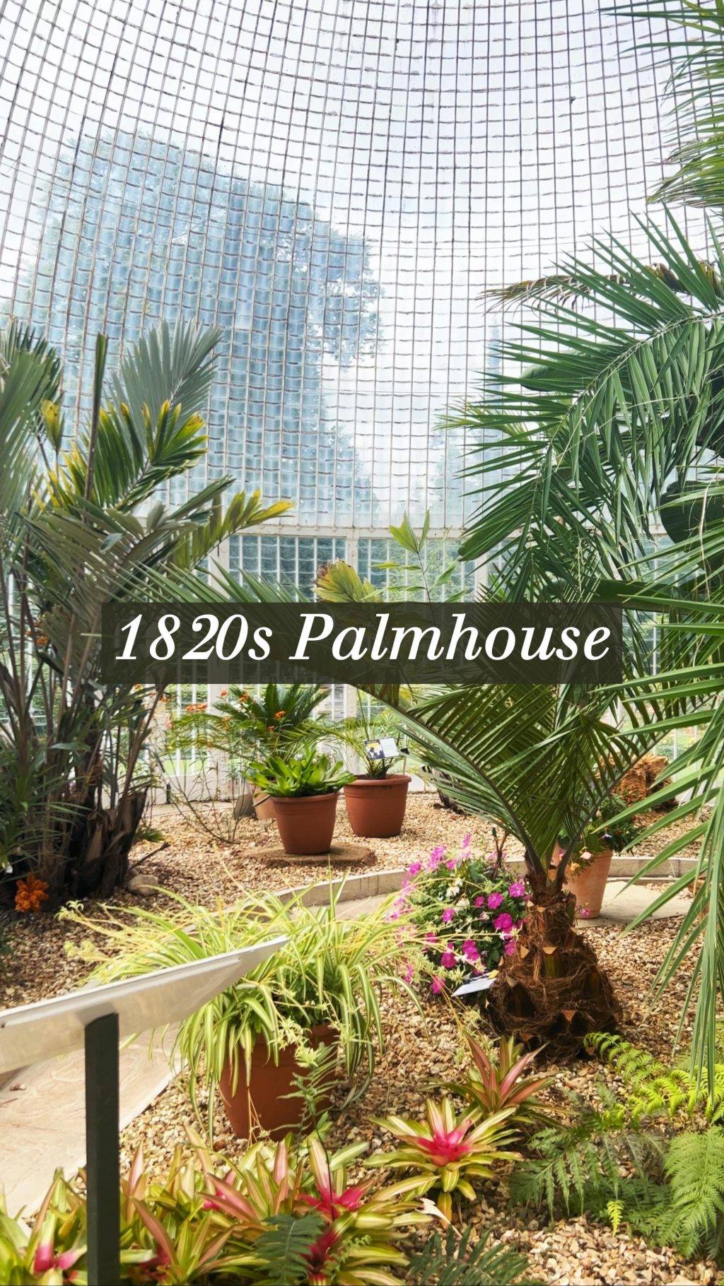 Instagram post from bictonpark. This post is in position 17.