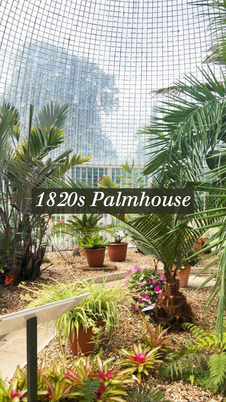 Instagram post from bictonpark. This post is in position 18.