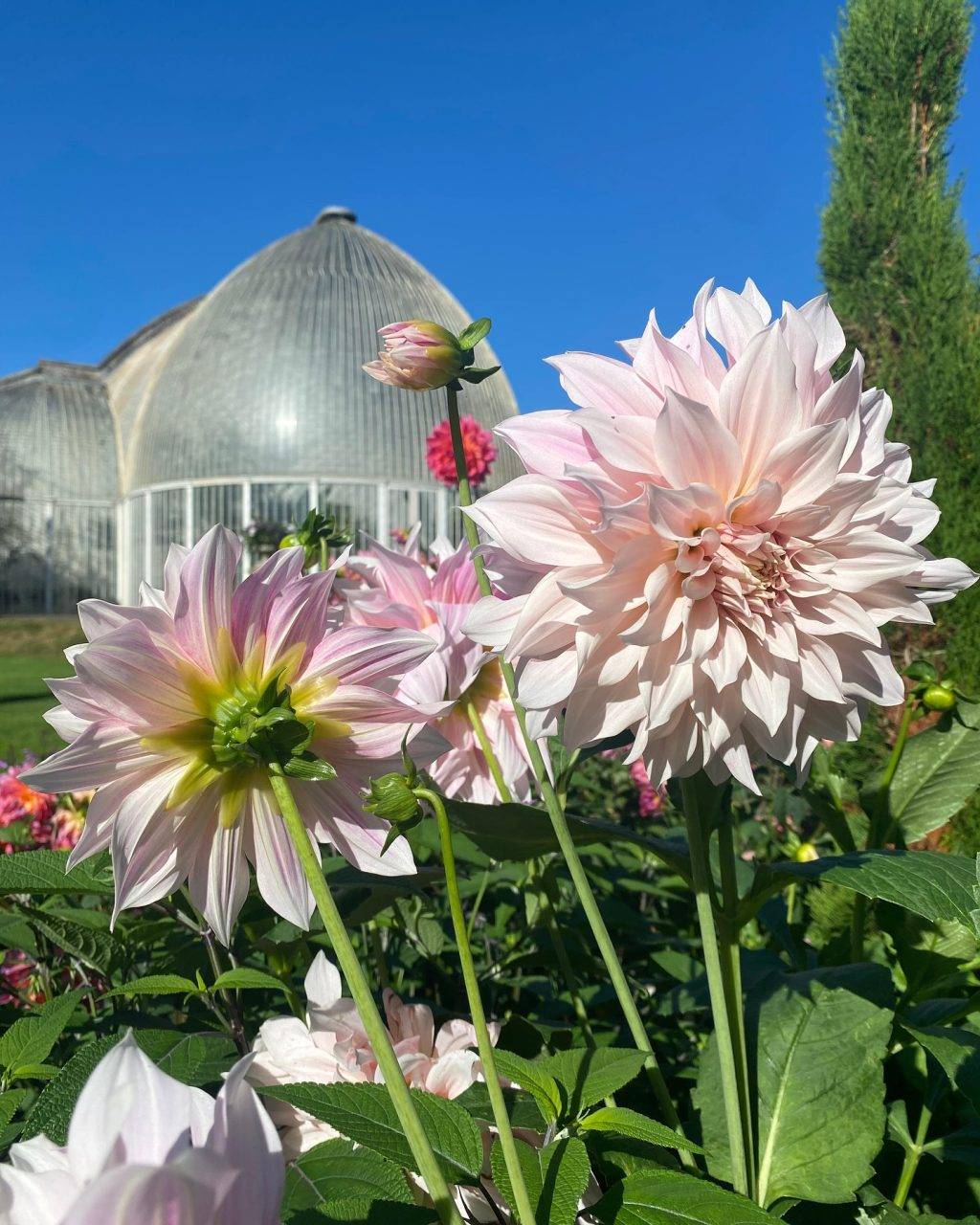 Instagram post from bictonpark. This post is in position 8.