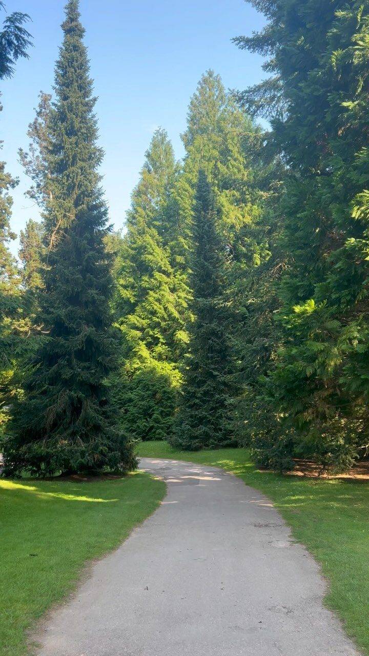 Instagram post from bictonpark. This post is in position 7.