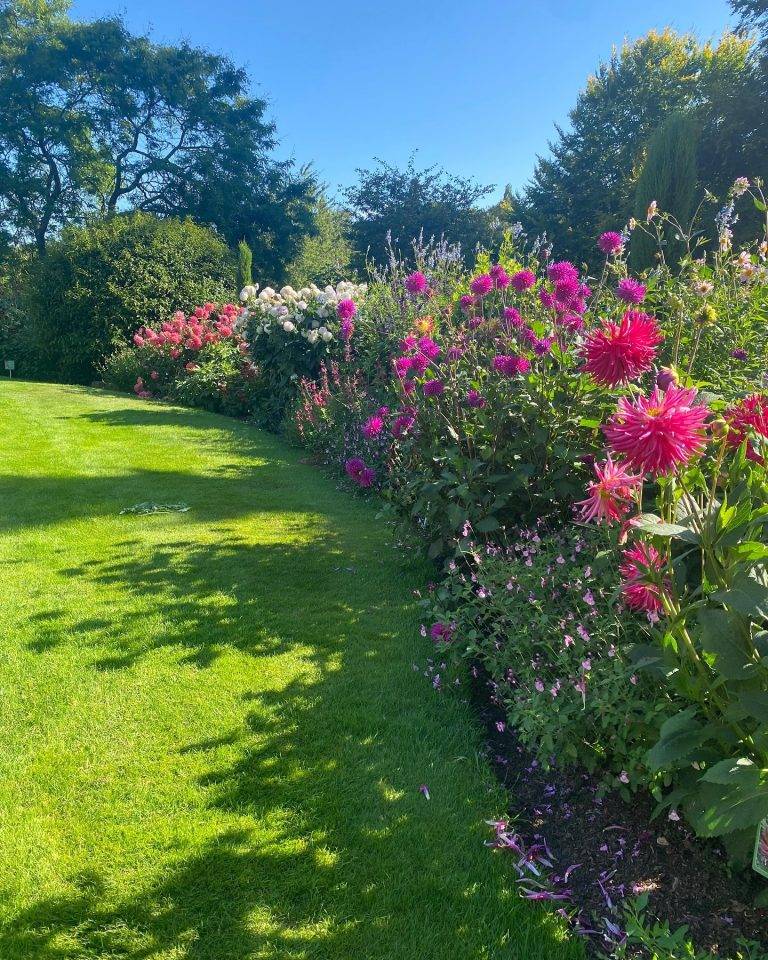 Instagram post from bictonpark. This post is in position 11.