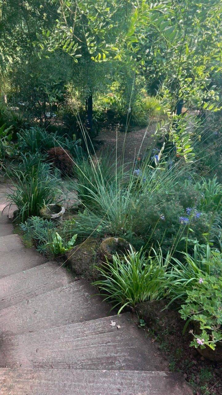 Instagram post from bictonpark. This post is in position 12.