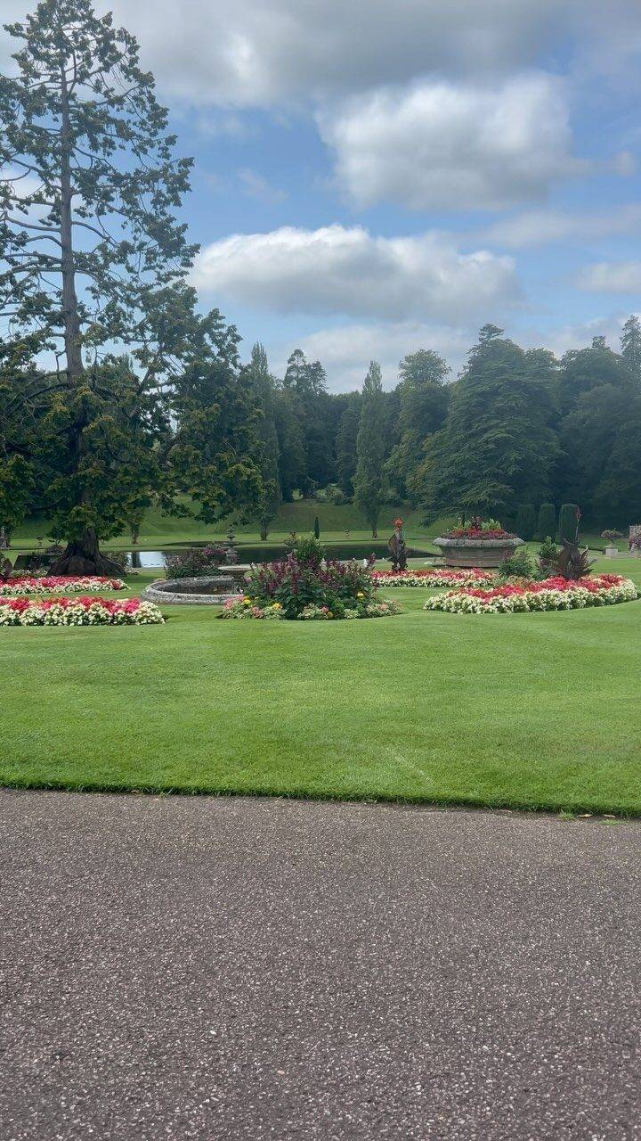 Instagram post from bictonpark. This post is in position 9.