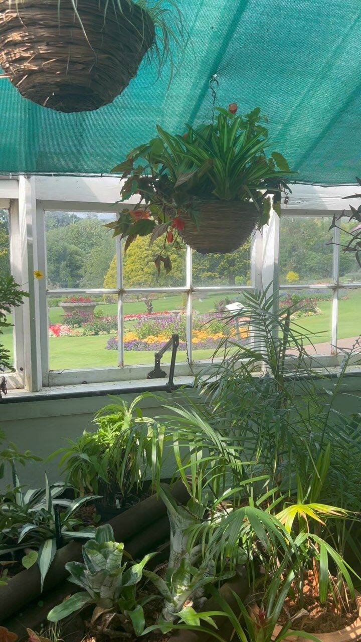 Instagram post from bictonpark. This post is in position 3.