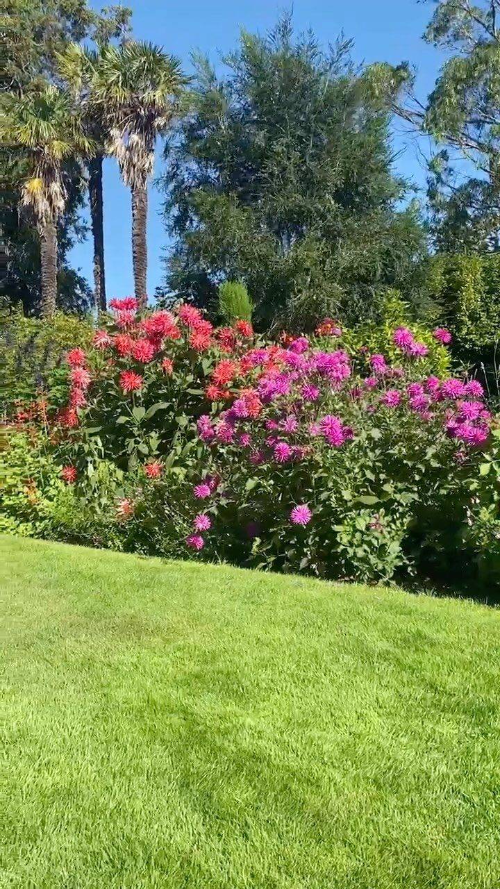 Instagram post from bictonpark. This post is in position 6.