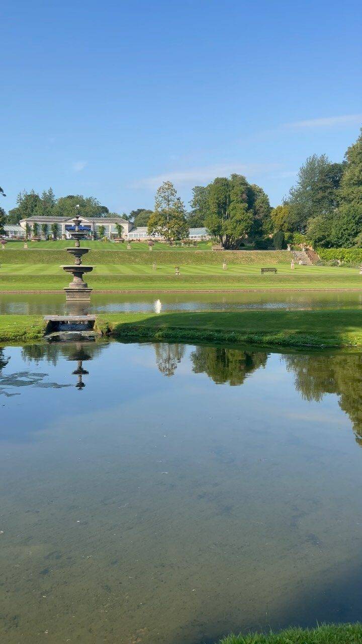 Instagram post from bictonpark. This post is in position 19.