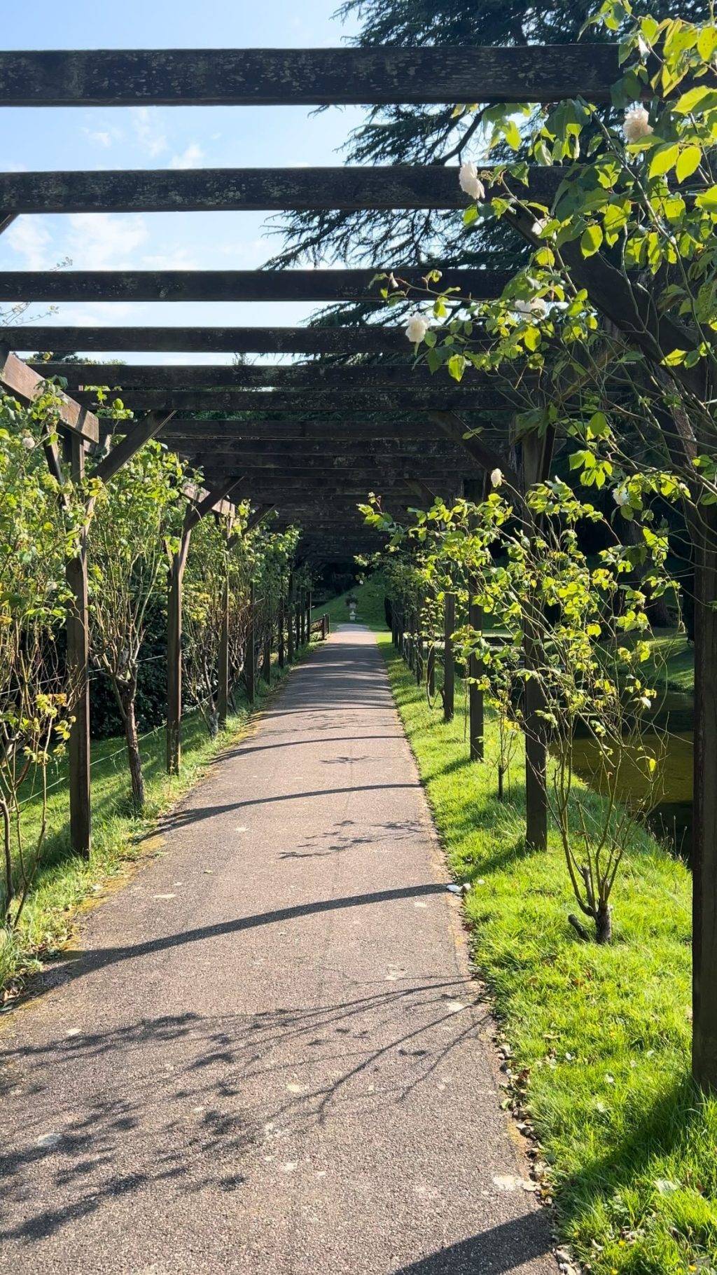 Instagram post from bictonpark. This post is in position 13.