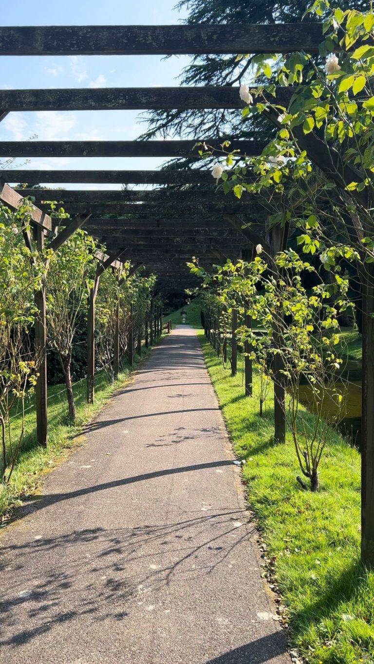 Instagram post from bictonpark. This post is in position 14.