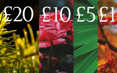bicton garden gift voucher