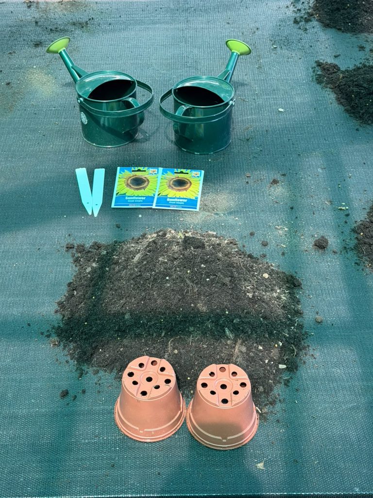Sow & Grow – Summer Holidays